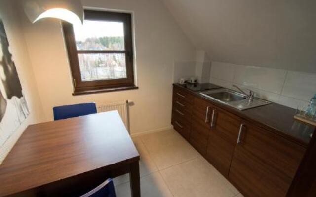 Aparthotel Flinski Sport&SPA