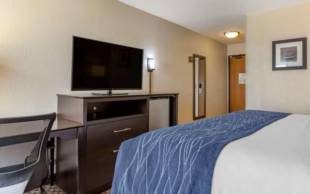 Comfort Inn Wings Stadium