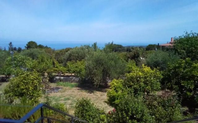 Panorama Rooms
