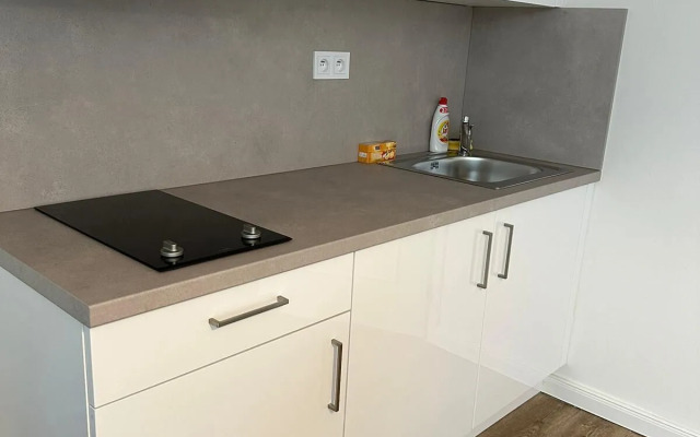 1 Br Apartment at Prague 1