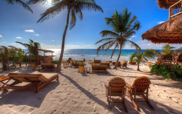 Life Source Retreats Tulum - All Inclusive