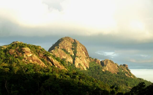 Tranquil Resort Wayanad