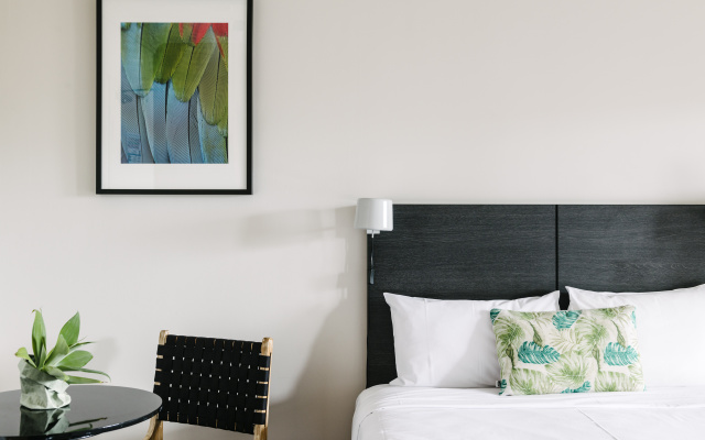Veriu Randwick – Guest Rooms – Sydney