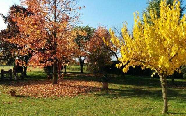 Holiday Home La Moranda