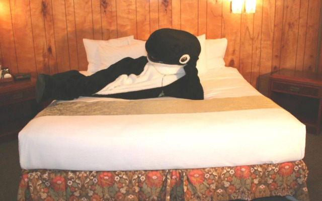 The Orca Inn