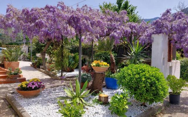 Secret pearl! Amalfi Coast, Pompei & Naples Free parking