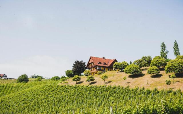 Hohler Appartement Gamlitz