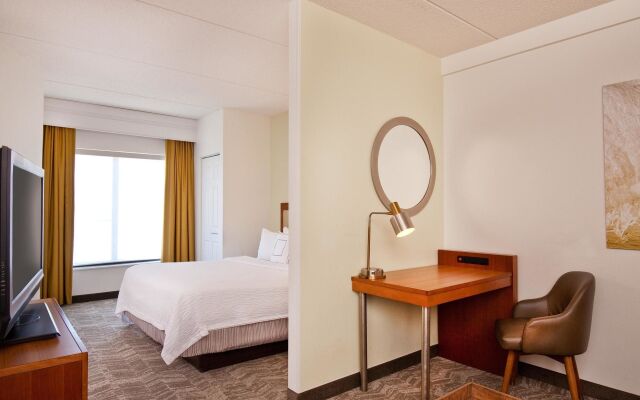 SpringHill Suites by Marriott Chesapeake Greenbrier