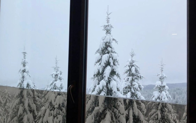 Vila Planinsko Blago Luxury Apartmans