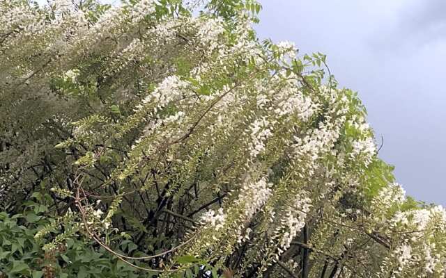 Chambre Privative Et Originale, a 20 Mn de Cluny