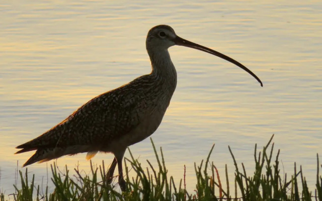 Playa Encanto Scenic Gem Ocean Front Home