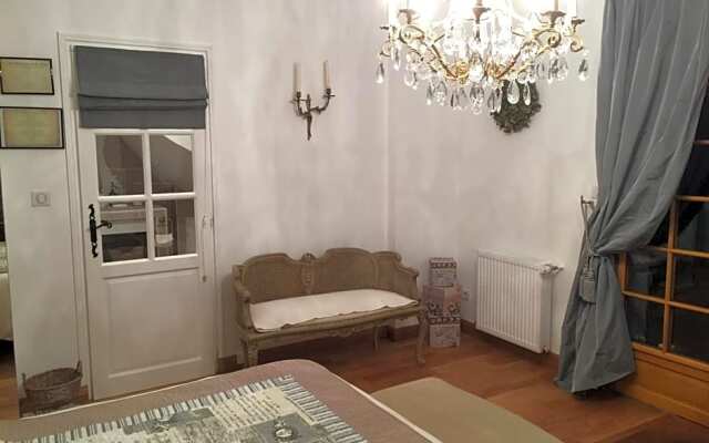 Les Prémices De La Forêt