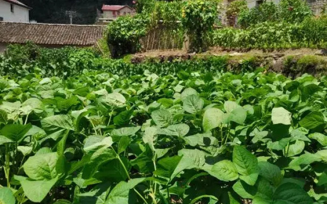 Shuimo Tingxi Liulinwan Homestay