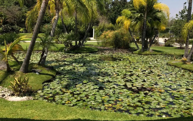 Huayacán Cuernavaca Curamoria Collection