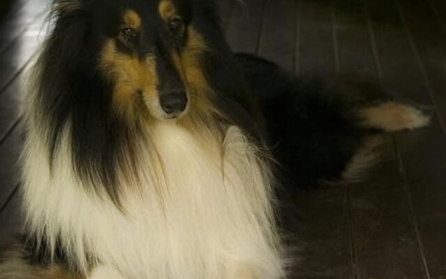 Lagoon Pocket Bed & Breakfast