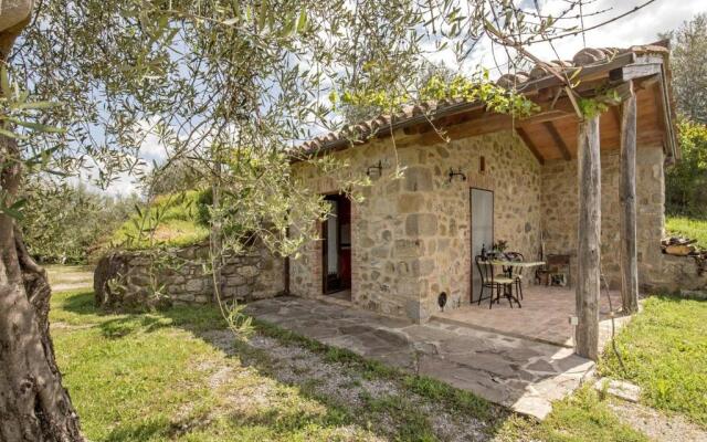 La casina degli olivi