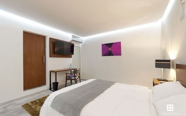 Hotel Urban 101