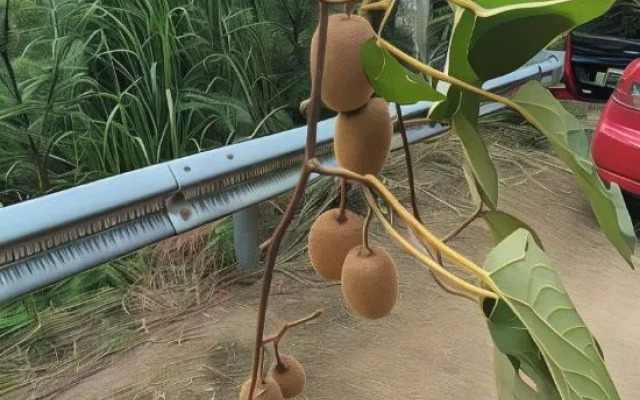 Xianju County Tangqian Tanghou Modern Intelligent Homestay