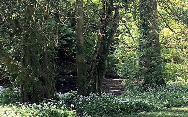 Wynberg House Swansea Bed  Breakfast