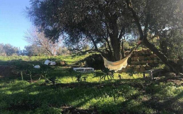 Biovilla Sustentabilidade