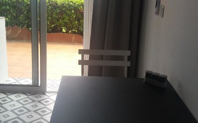 Sunrise Studio Zebra