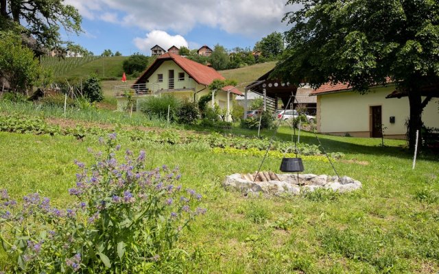 Apartment at the Vesel Homestead, Local Experience