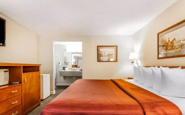 Quality Inn Maysville