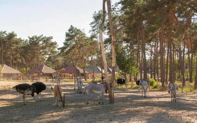 Safari Resort Beekse Bergen