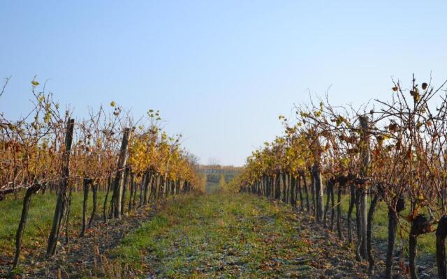 Bauernhof Wein-Bett Wiedeck