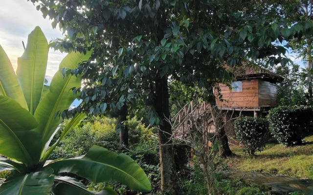 Agandi Uganda Eco-lodge