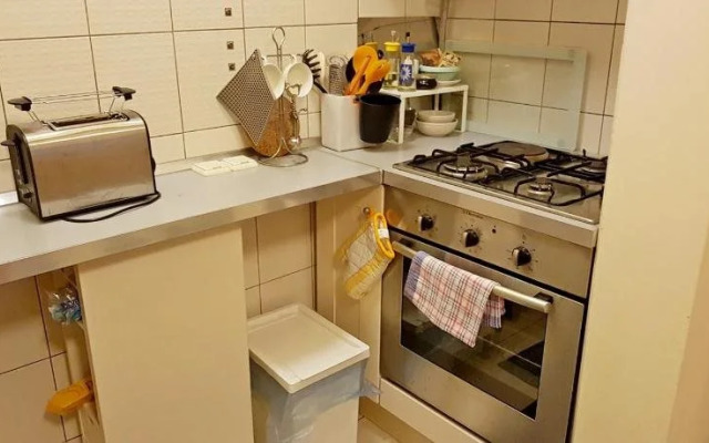 Apartment Lisinski S