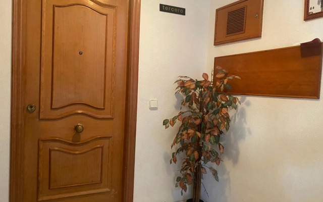 Homely Apartments Mar 3