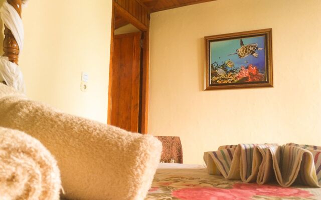 Panorama Backpackers