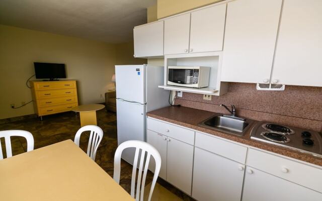 American Safari Motel