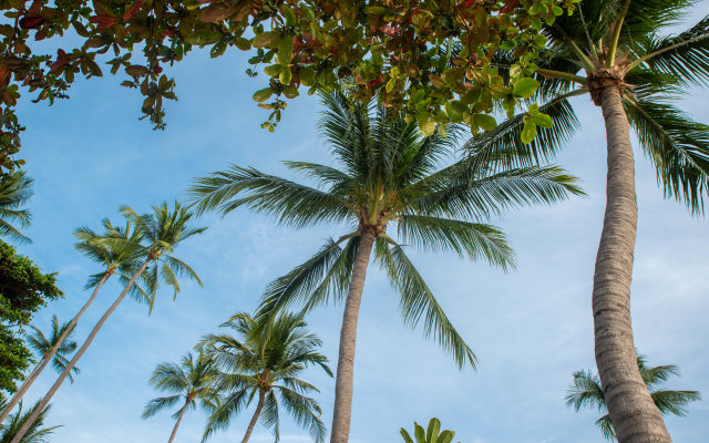 Buri Rasa Village Samui