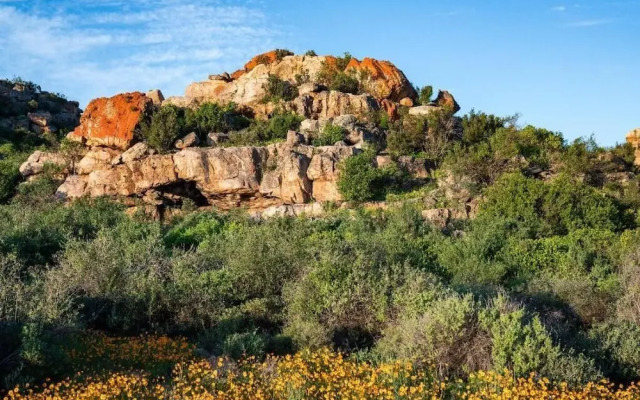 Yamu Lifestyle Resort