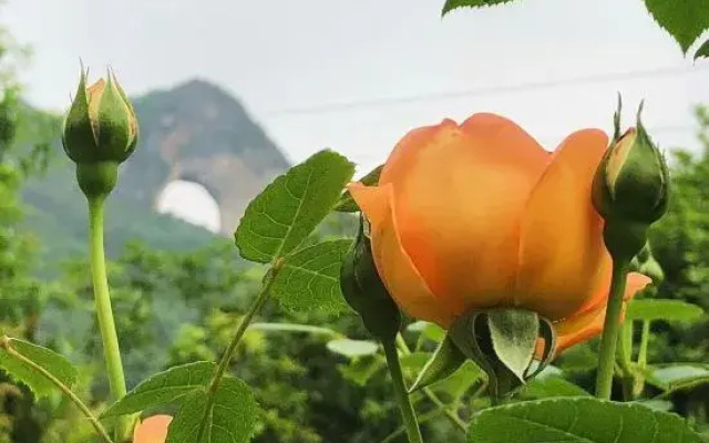 Yangshuo Moon Villa Homestay (Yulonghe Scenic Area Branch)