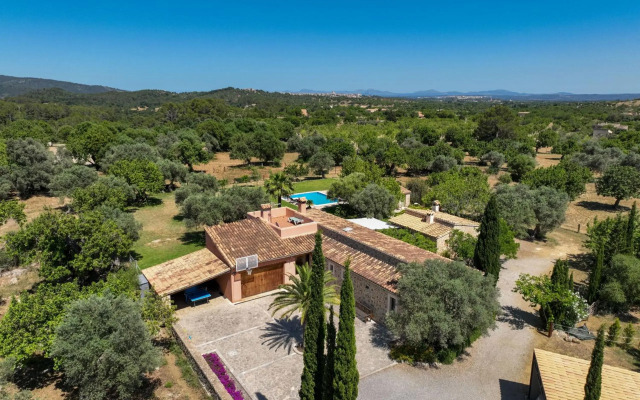 Selva - 3890, Mallorca