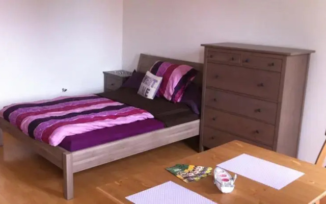 Book-A-Room City Apartment
