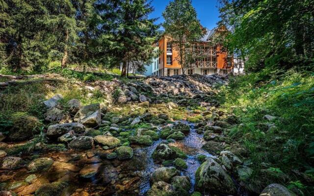 Apartmán A Harrachov