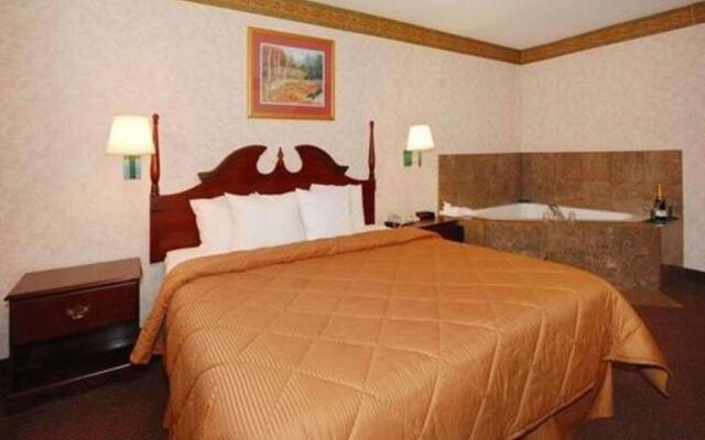 Comfort Inn [Tarboro]