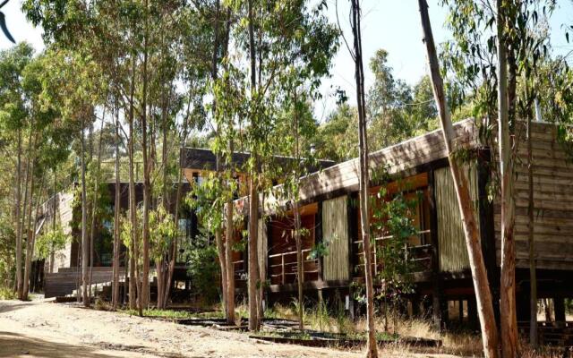 Tripanko Lodge & Bungalows