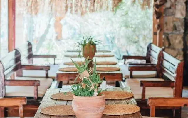 Shambala Lodge Hotel