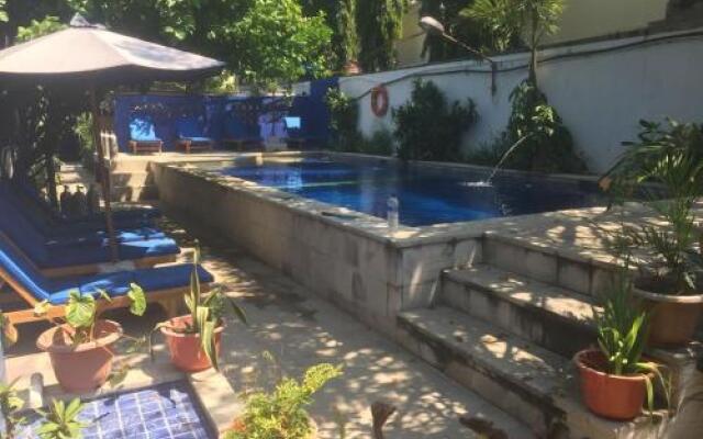 Timor Backpackers