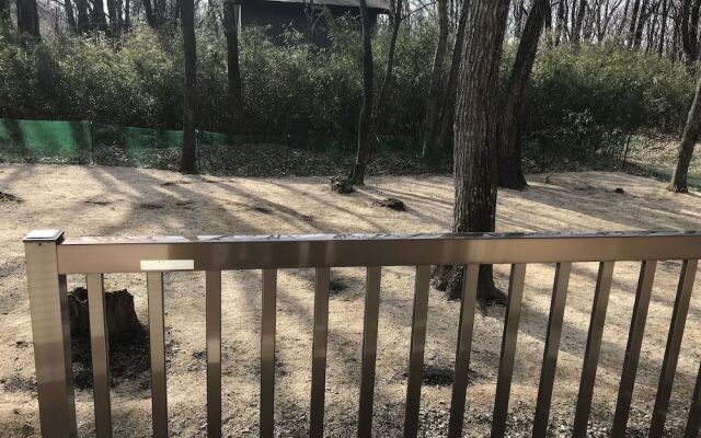 A calm house in the woods