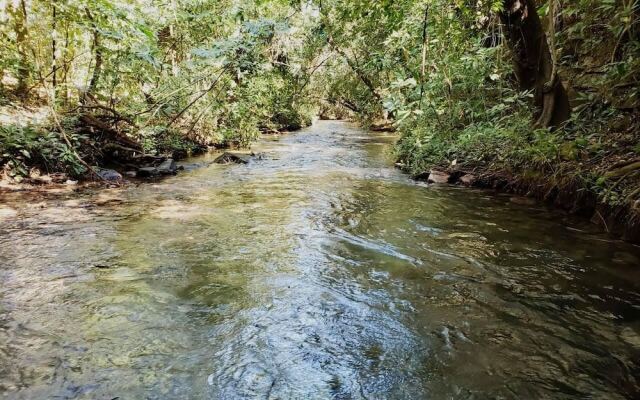Thermas Goiás - Park Veredas