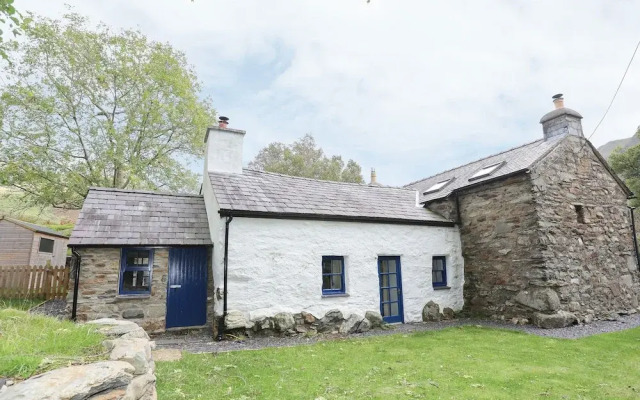 Llwyn Bedw