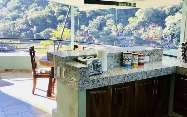 Beautiful Suite With a Full Kitchen With Amazing Views of the Beach, and Forest