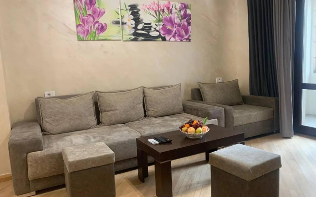 Comfortable apartment in center