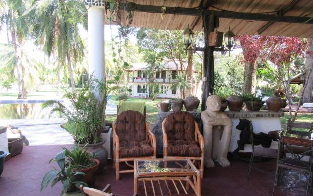 Paraiso del Cocodrilo